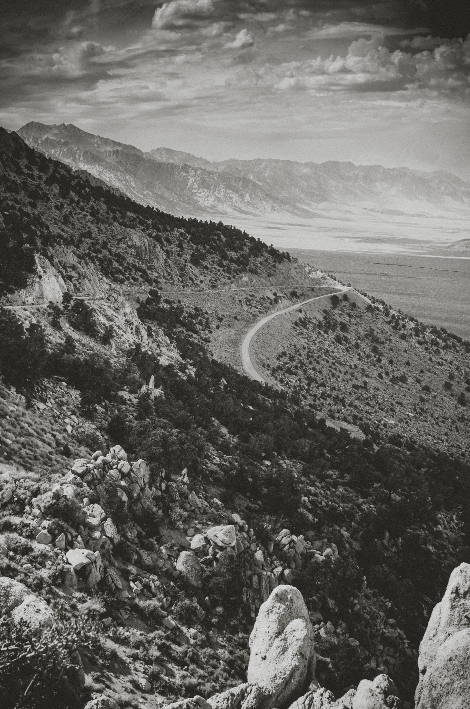 Road to Cottonwood Grove